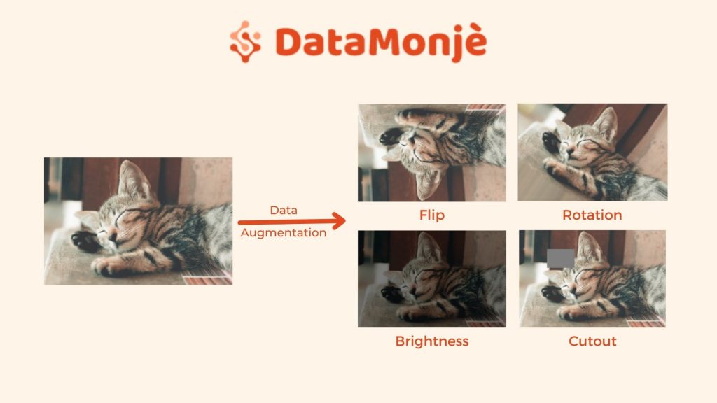 Guide To Image Augmentation: From Beginners To Advanced | DataMonje